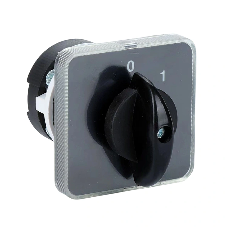 LW31 20A OFF-ON 2 位置コンビネーションロータリーカムスイッチ